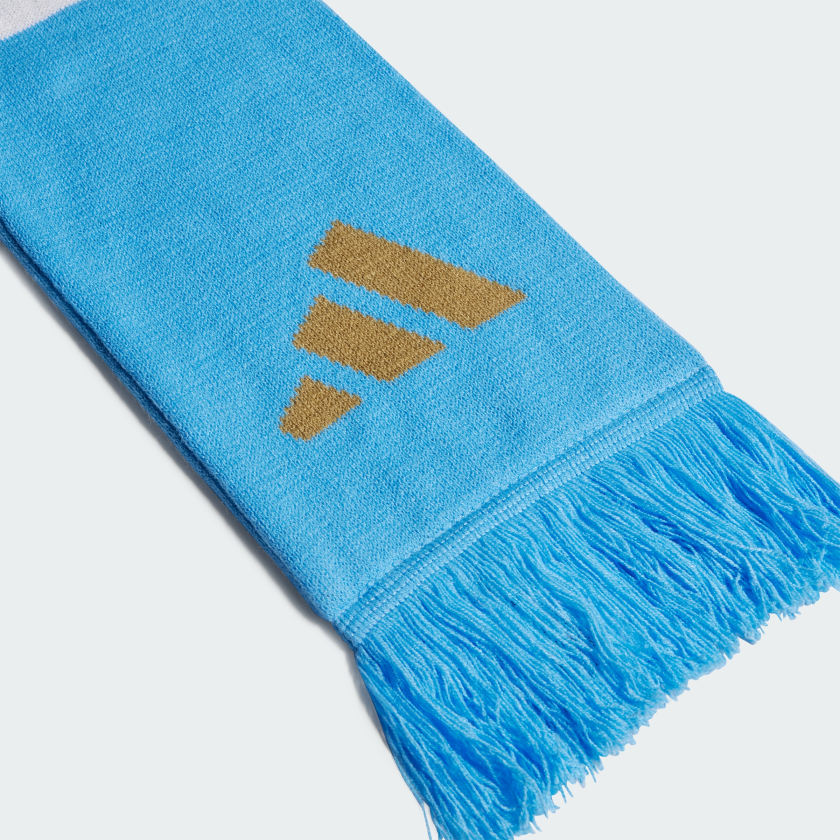 Argentina Soccer Scarf