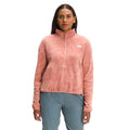 The North Face Womens Printed Tka Glacier Crop Top