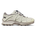 Salomon Men's XT-Quest Gore-Tex Almond Milk/Aloe Wash