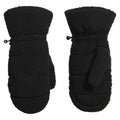 The North Face Mens Cragmont Fleece Mitt