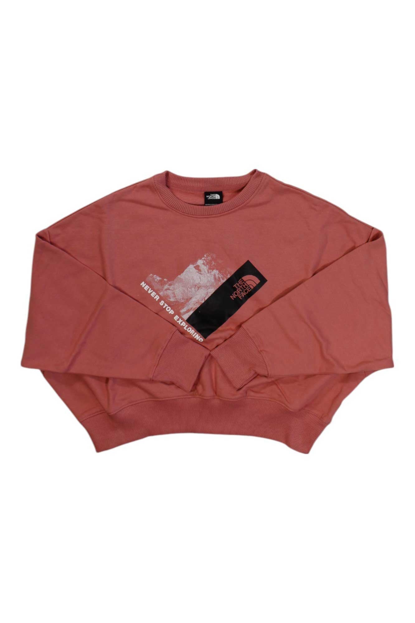 The North Face Womens Recycled Climb Graphic Crew