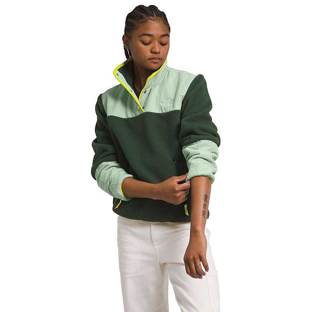 The North Face Womens Cragmont Fleece 1/4 Snap Top