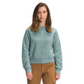 The North Face Womens Dunraven Crew Top