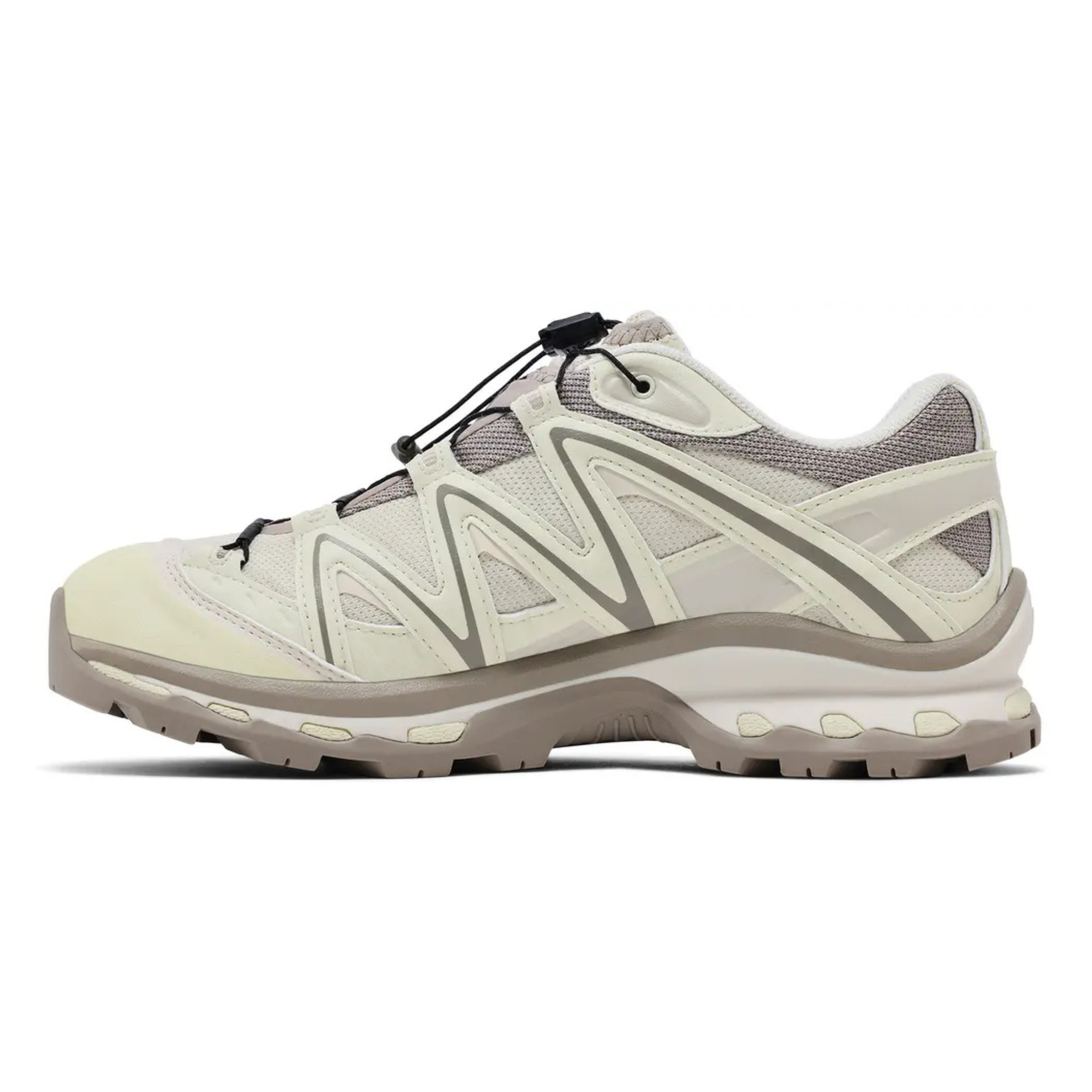 Salomon Men's XT-Quest Gore-Tex Almond Milk/Aloe Wash