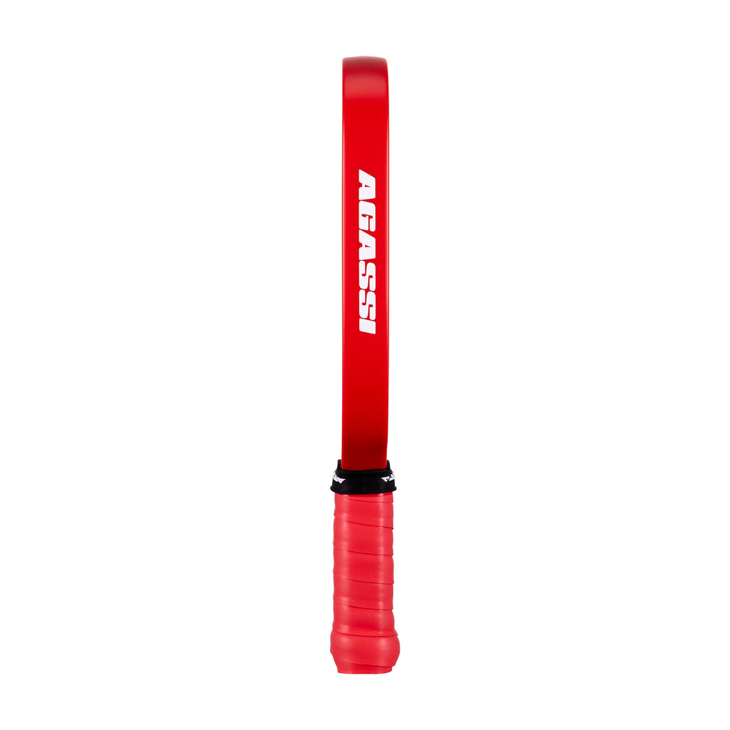 JOOLA Pro IV Mini-Paddle