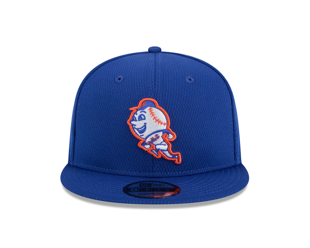 New York Mets MLB New Era Men's Royal Blue 9Fifty Alternate Logo Snapback