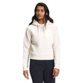 The North Face Womens Wool Harrison Pullover Hoodie