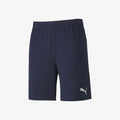 Puma Team Final 21 Shorts Men's
