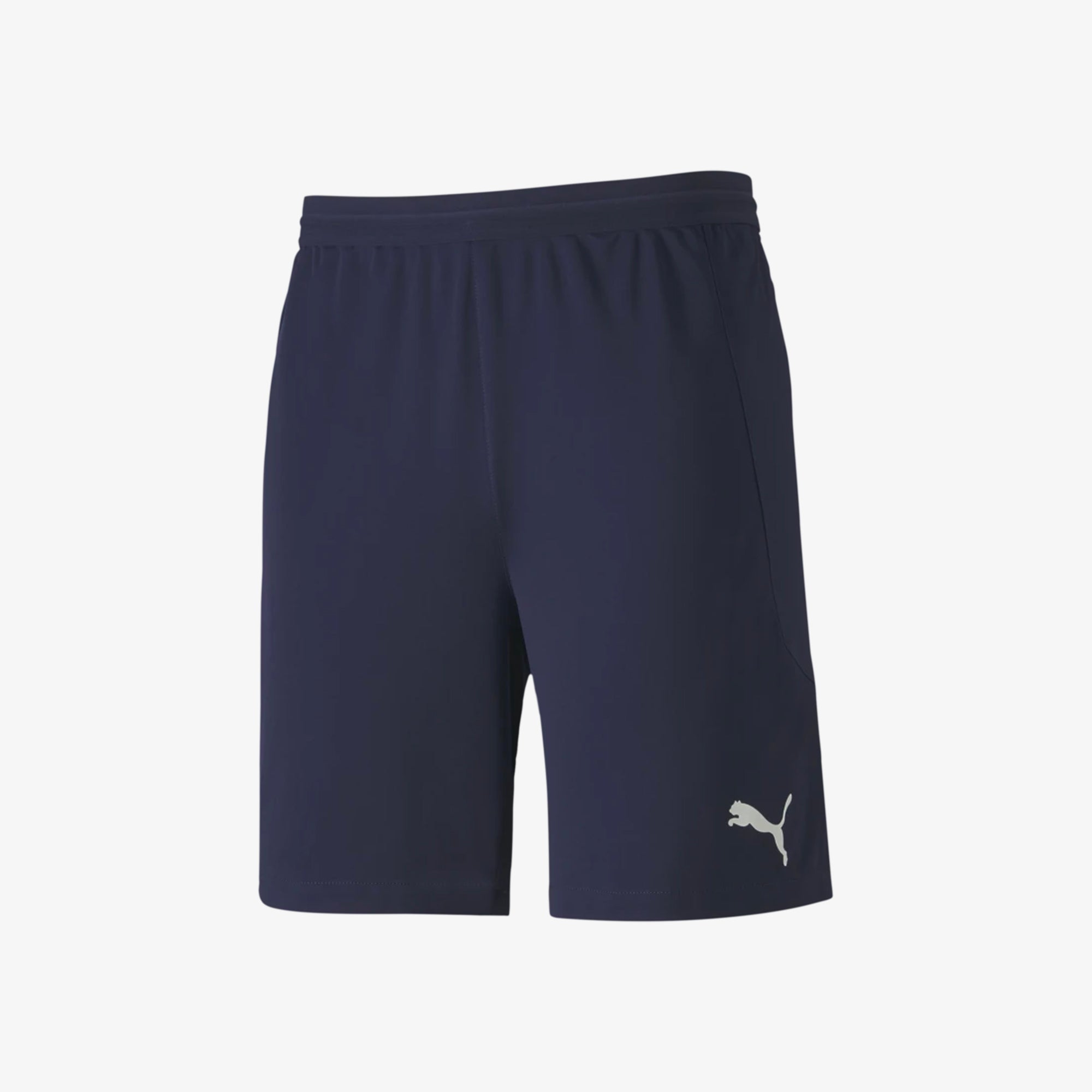 Puma Team Final 21 Shorts Men's