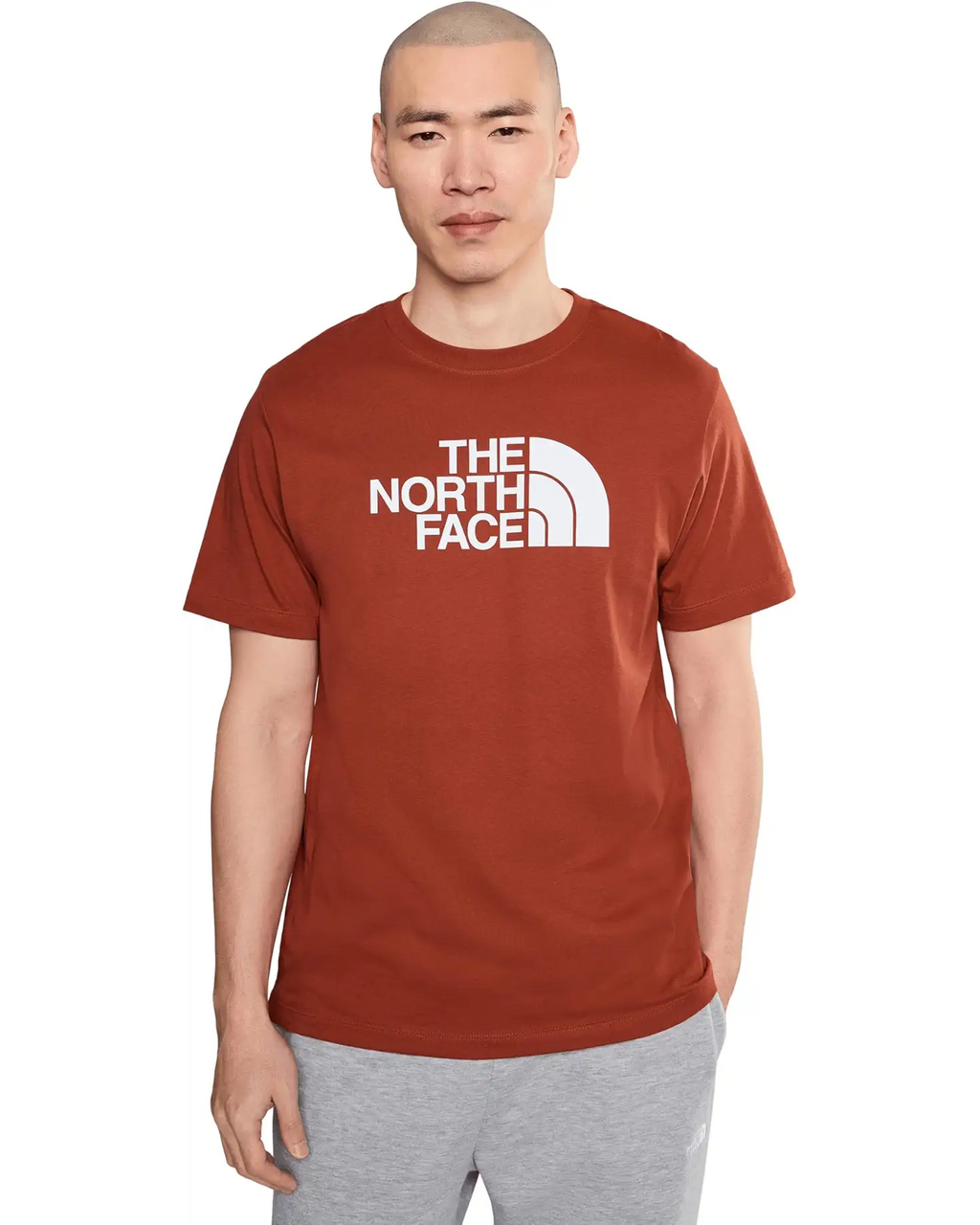 The North Face - Short Sleeve Evolution Half Dome Tee - Men's - Iron Clay
