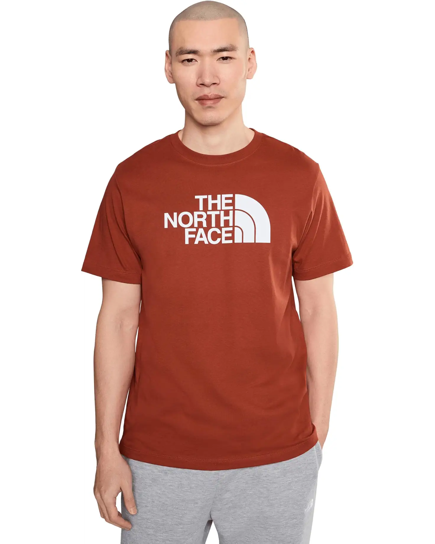 The North Face - Short Sleeve Evolution Half Dome Tee - Men's - Iron Clay