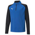 Puma Team Liga 25 Youth 1/4 Zip Training Top