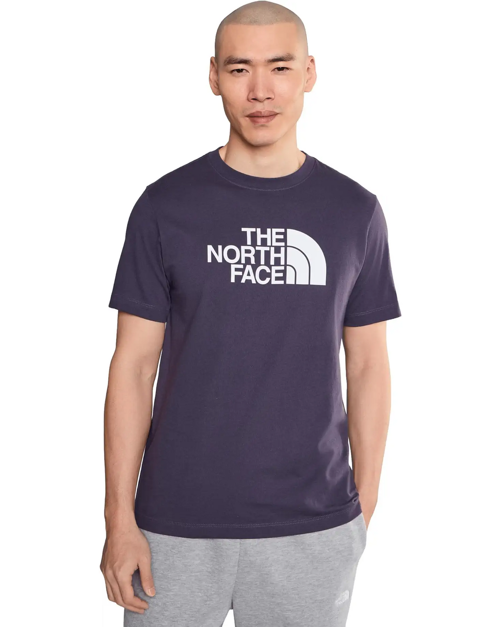 The North Face - Short Sleeve Evolution Half Dome Tee - Men's - Endless Dusk