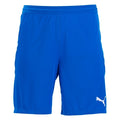 Puma Team Final Youth Soccer Short