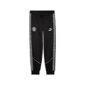 Puma Manchester City KING Anthem Pants Men