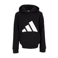 Essential Big Logo Fleece PO Hoody - Youth