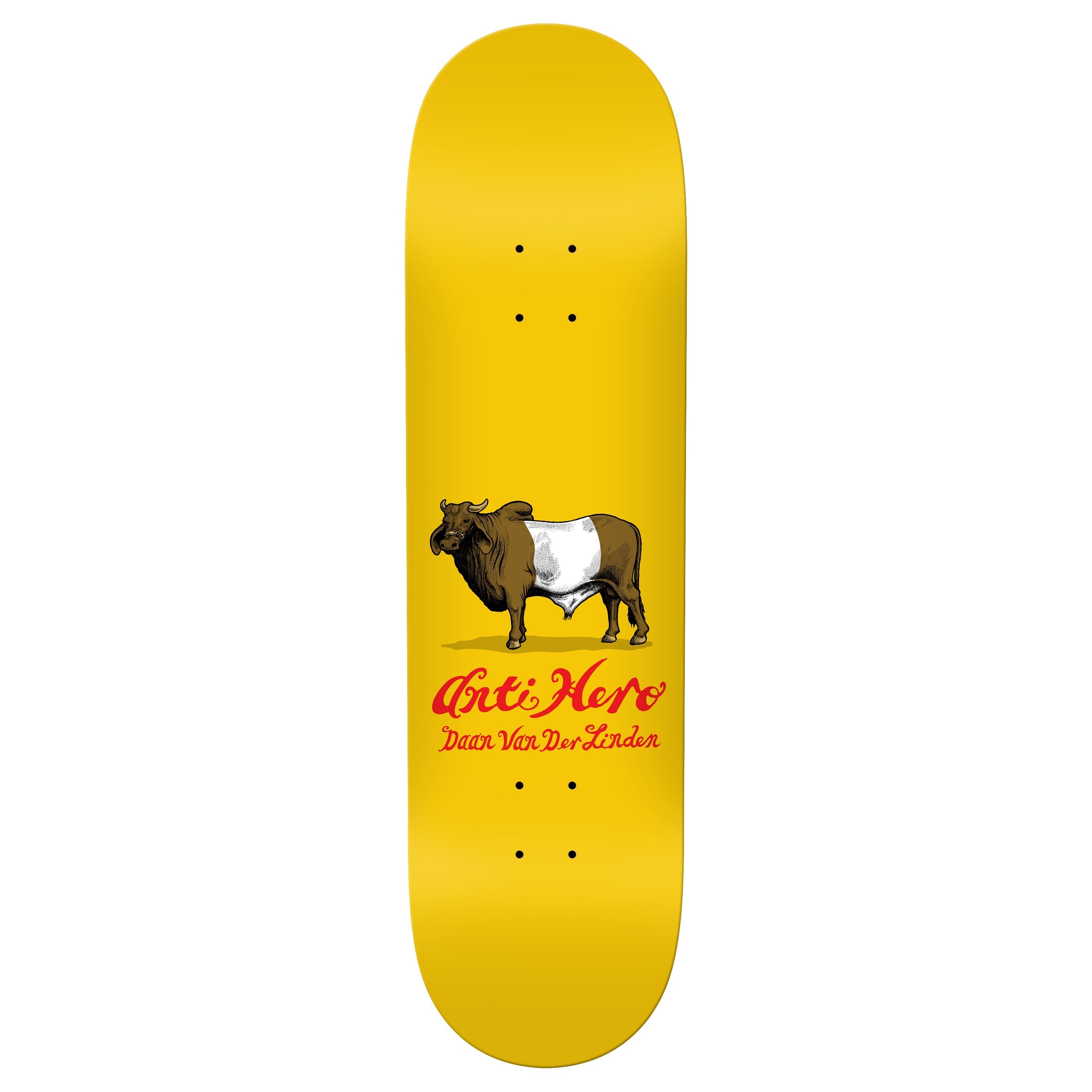Anti Hero Skateboard Deck Daan Dutch Belted 8.28" x 31.7"