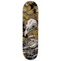 Birdhouse Skateboard Deck Shawn Hale Tillbrook 9.0" x 31.75"