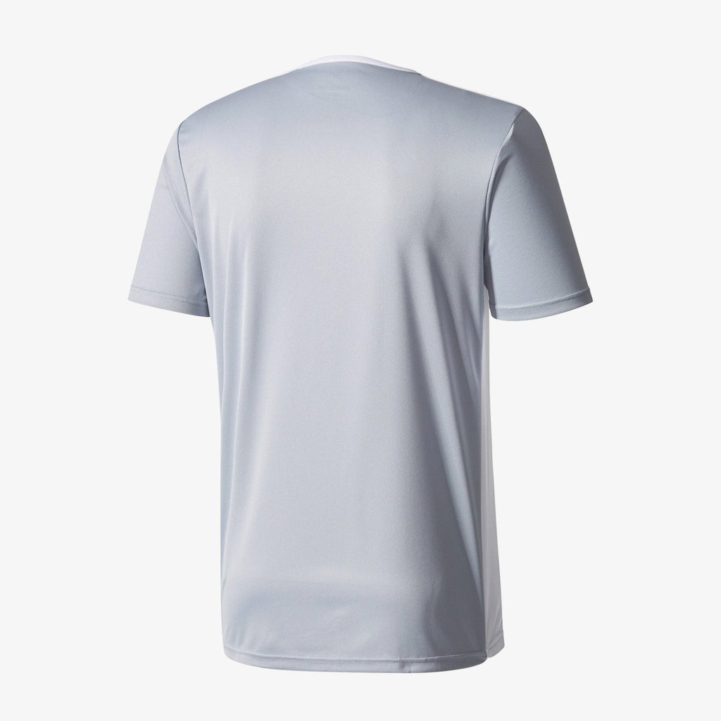 Entrada 18 Training Jersey Silver Men's