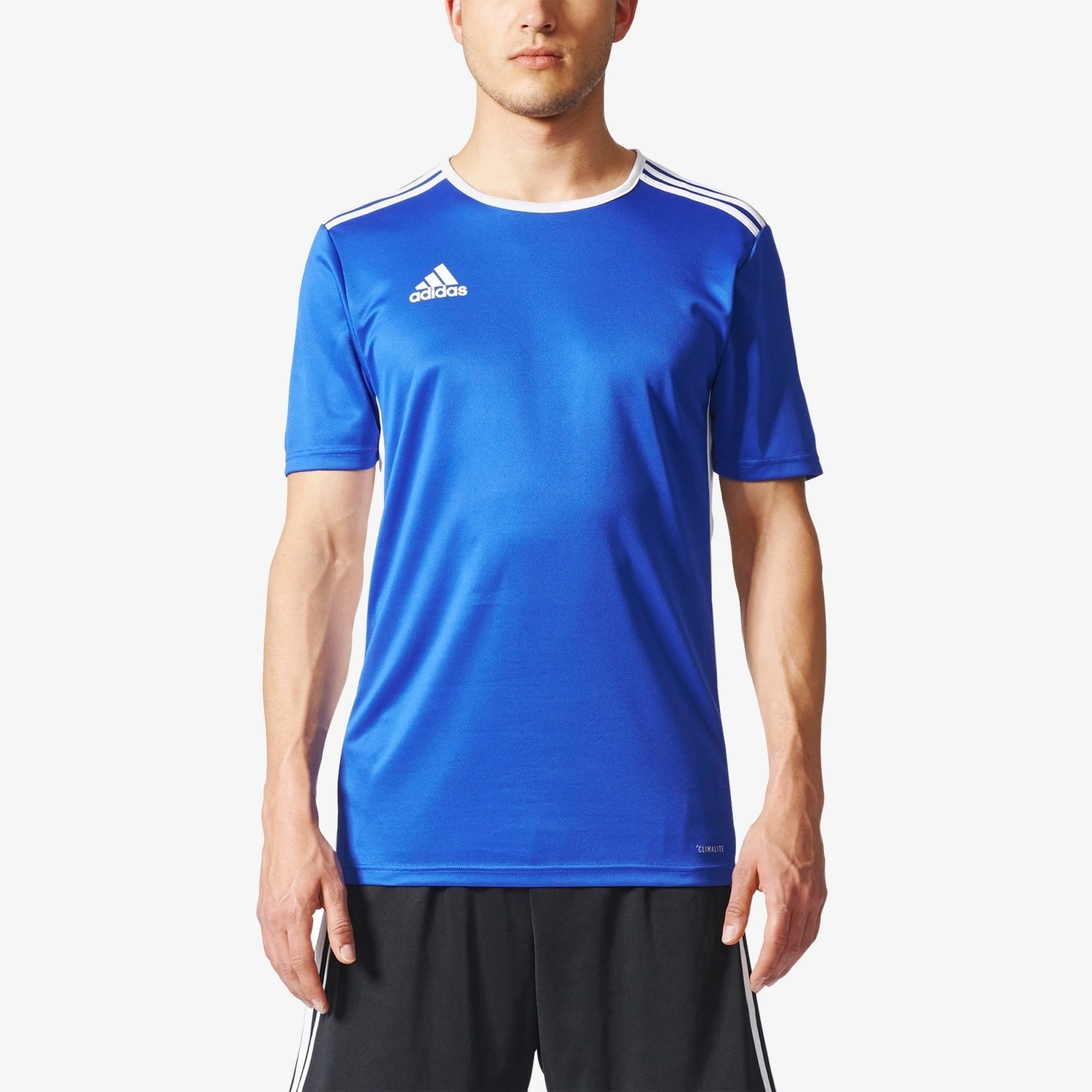 Entrada 18 Jersey Bold Blue Men's