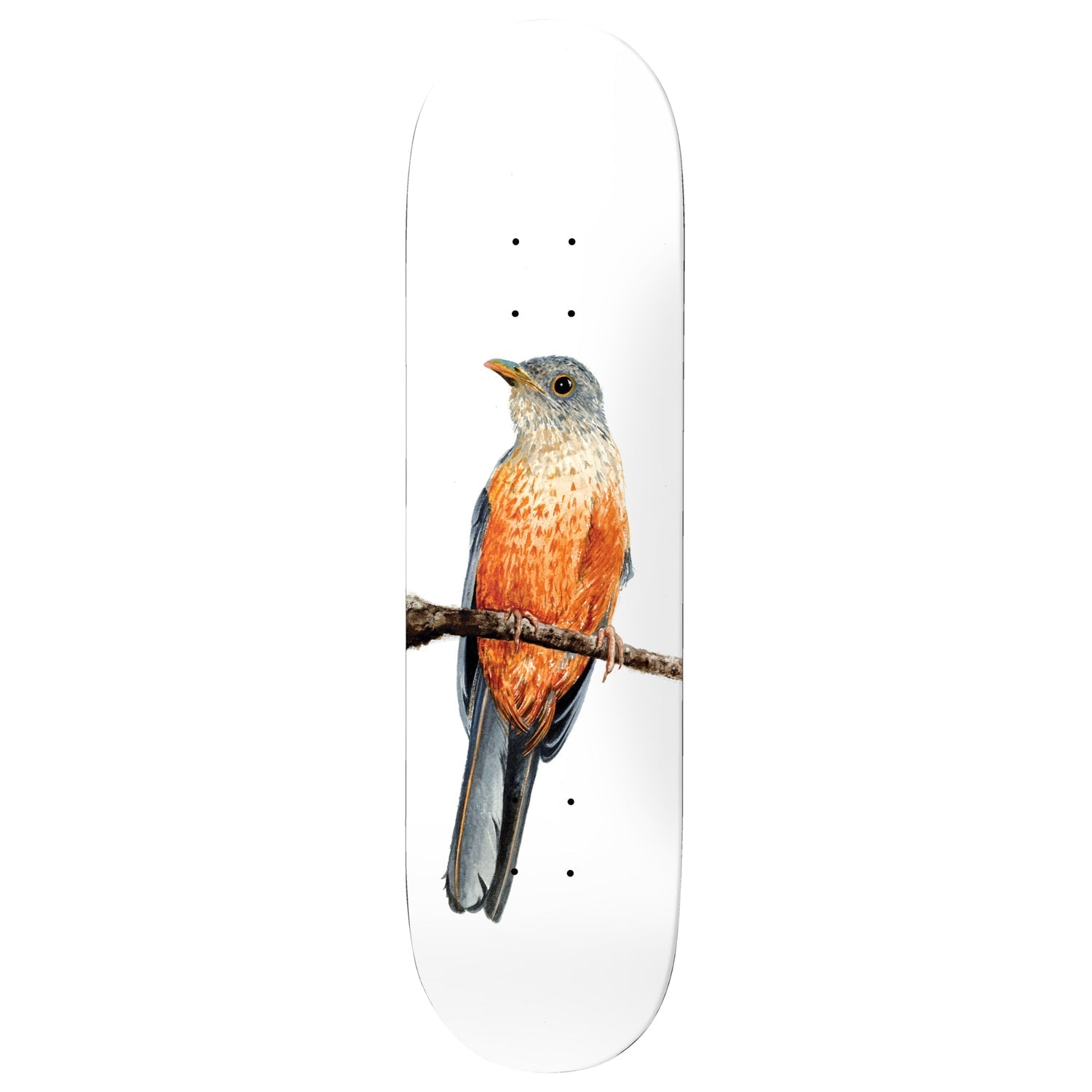 Deathwish Skateboard Deck Yuri Facchini Sabia-Laranjeira 8.125" x 31.5"