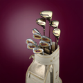 Honma BE-10 3-Star Ladies 11-piece Club Package Set (Golf Bag Included)