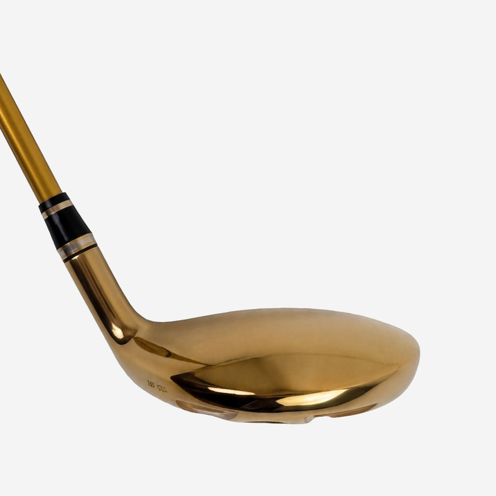 Demo of Honma Beres05 5-Star Men Hybrid