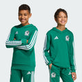 adidas Mexico DNA Hoodie Kids