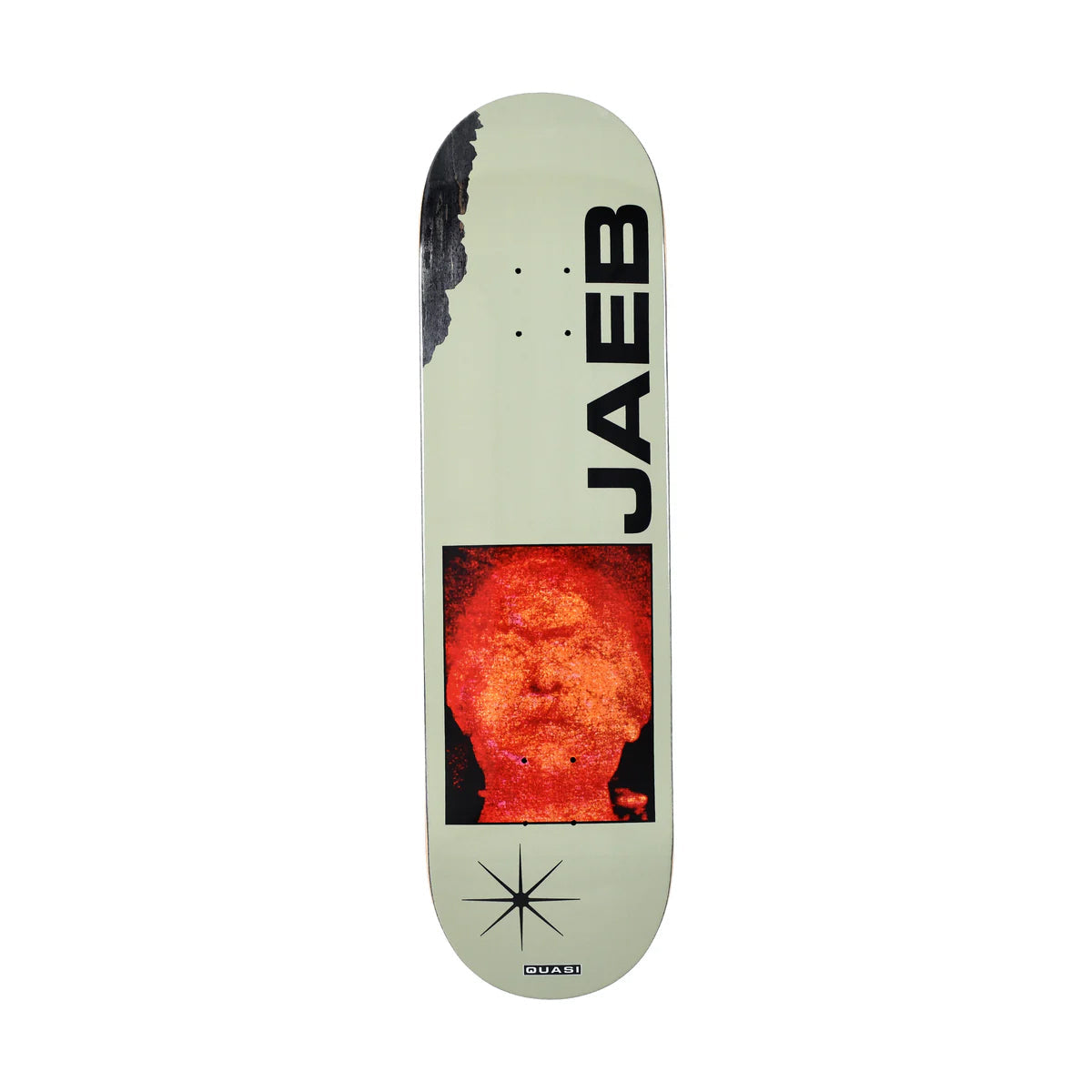 Quasi Skateboard Deck Dylan Jaeb Window 8.375" x 31.75"