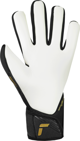 Reusch Fastgrip Silver Goalkeeper Glove