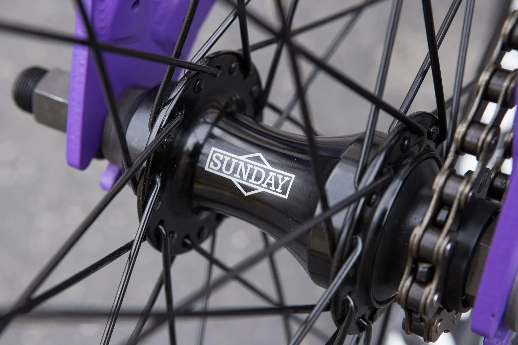 Sunday Forecaster Bike (Cassette)