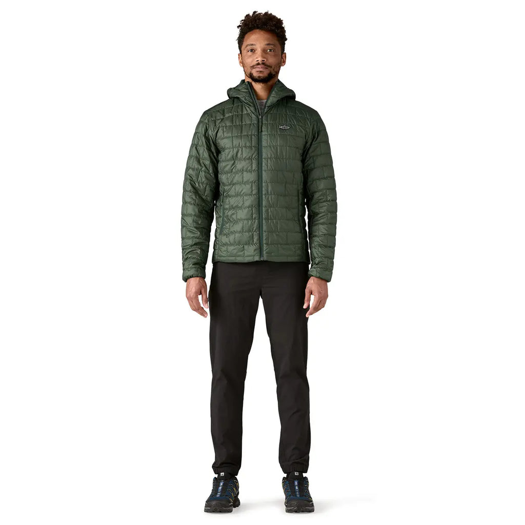 Patagonia M's Nano Puff Fitz Roy Trout Hoody