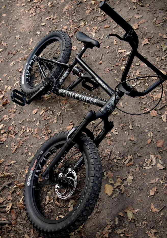 We The People Swampmaster Bike