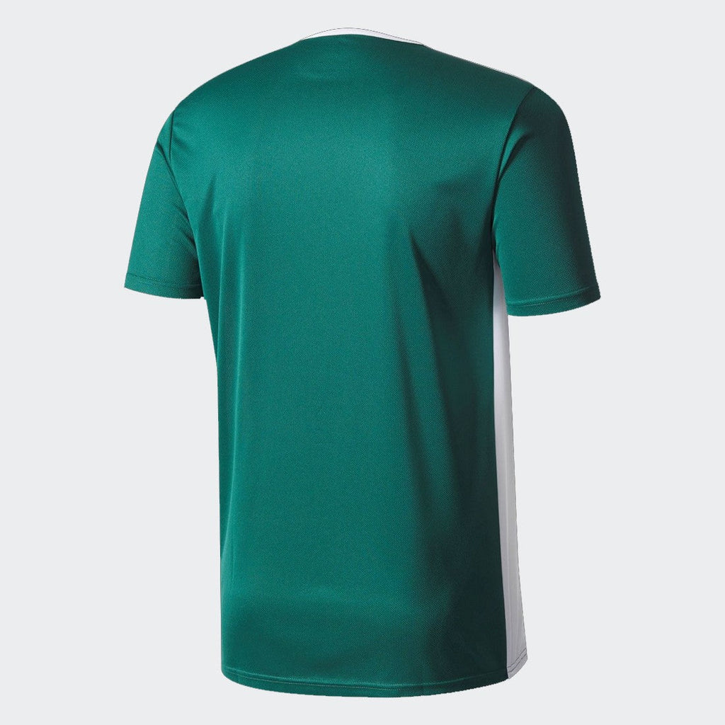 Entrada 18 Jersey - Green/White