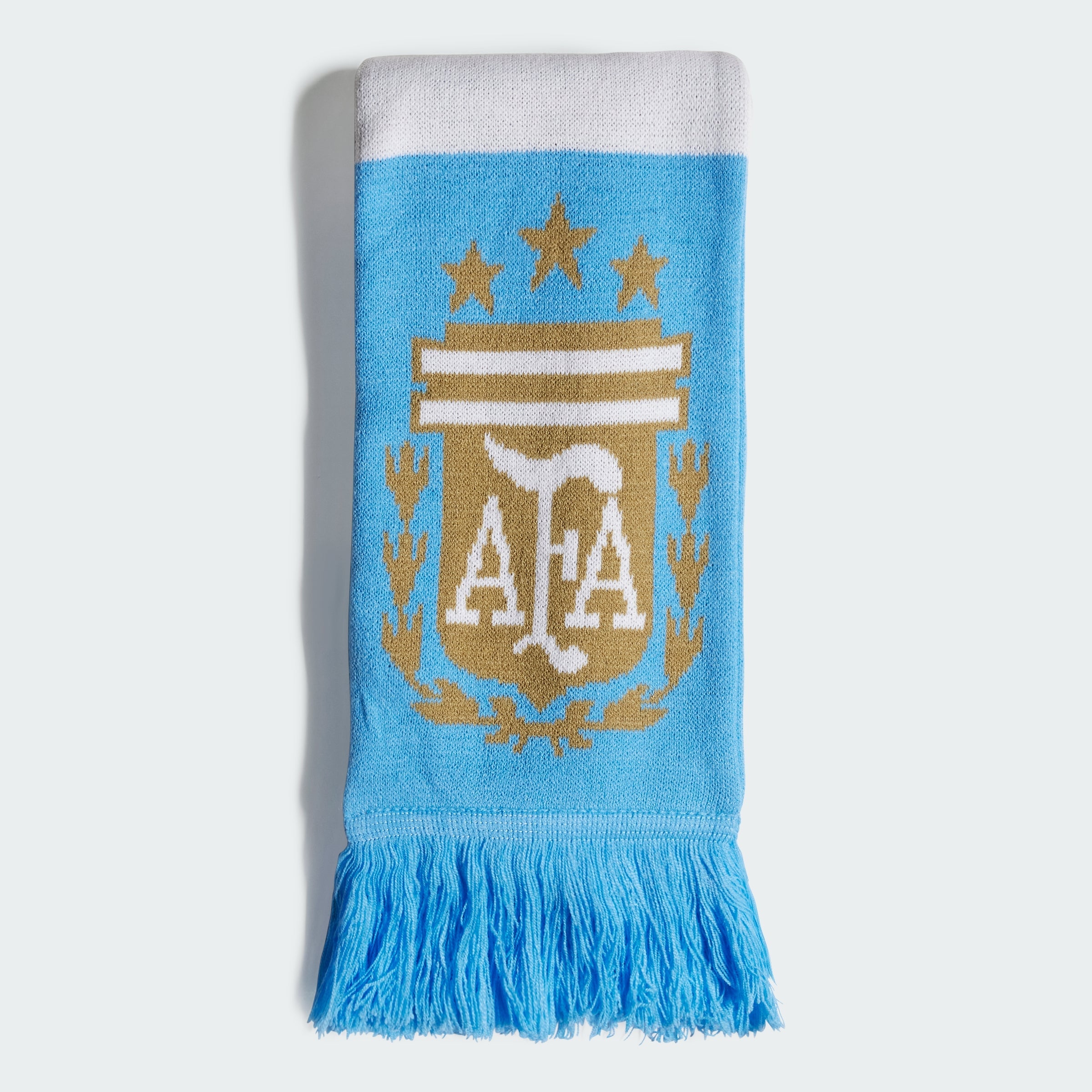 Argentina Soccer Scarf