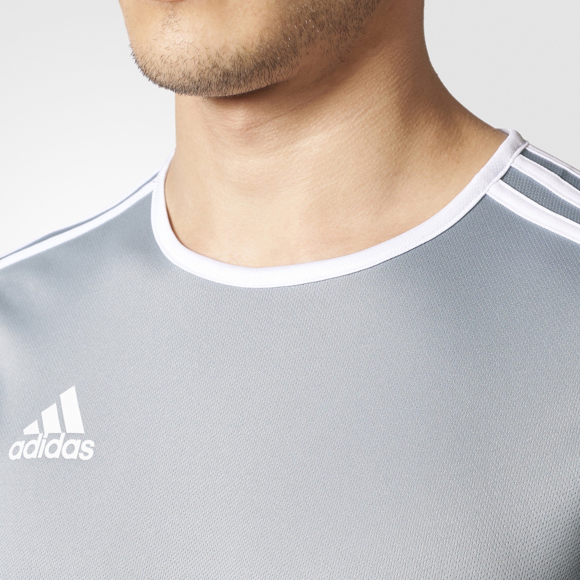 Entrada 18 Training Jersey Silver Men's
