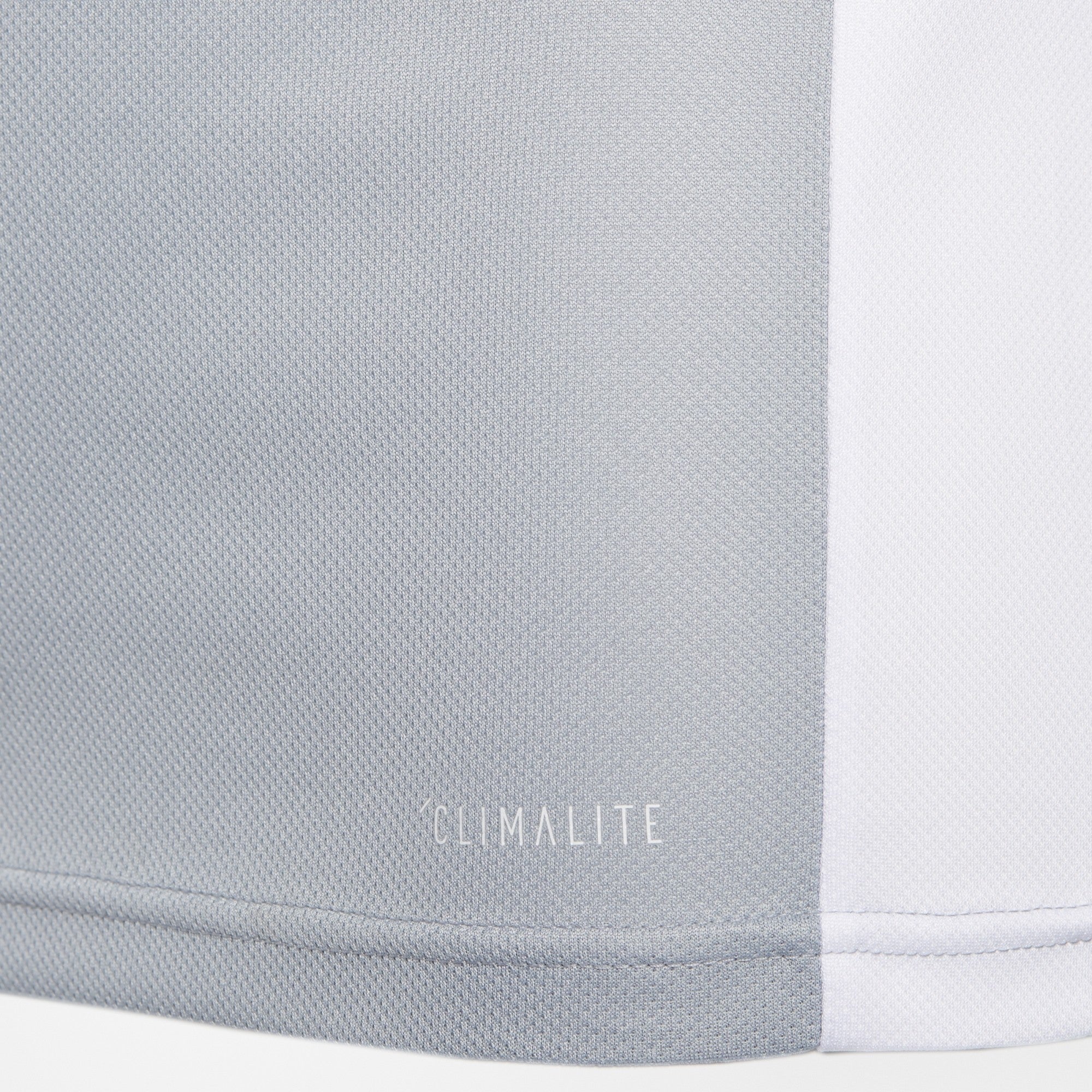 Youth Entrada 18 Training Jersey - Silver