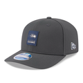 Seattle Seahawks NFL New Era Men's Charcoal 9Seventy 2025 Sideline Stretch Snapback