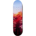 Evisen Portrait Skateboard Deck 8"