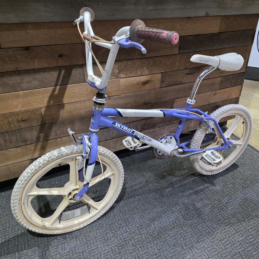1987 Skyway Street Beat Survivor