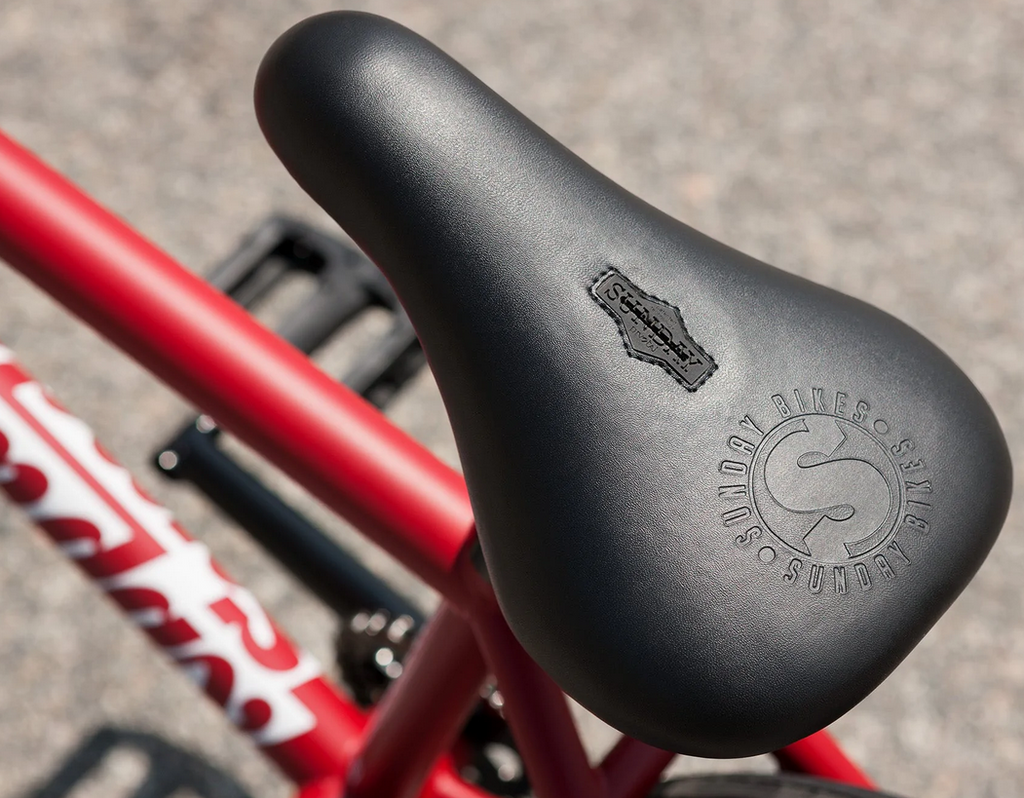 Sunday Forecaster Bike (Freecoaster)
