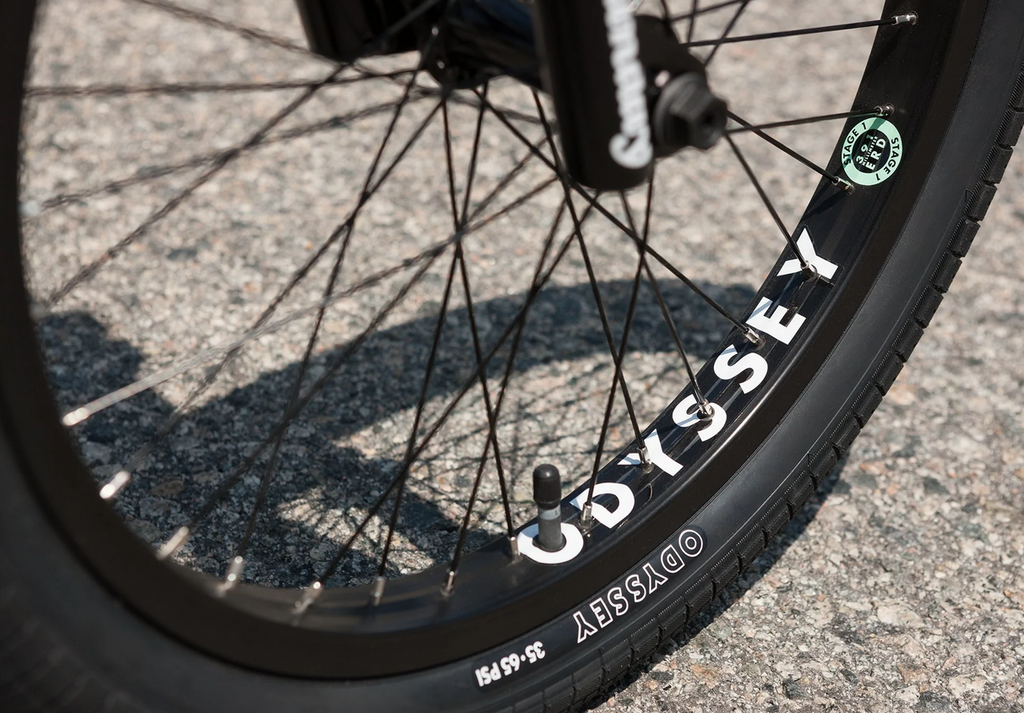 Sunday Forecaster Bike (Freecoaster)