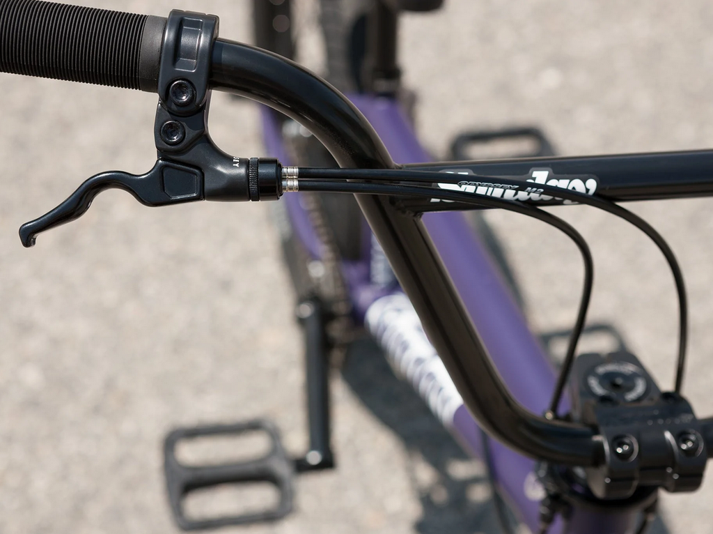 Sunday Forecaster Park Bike