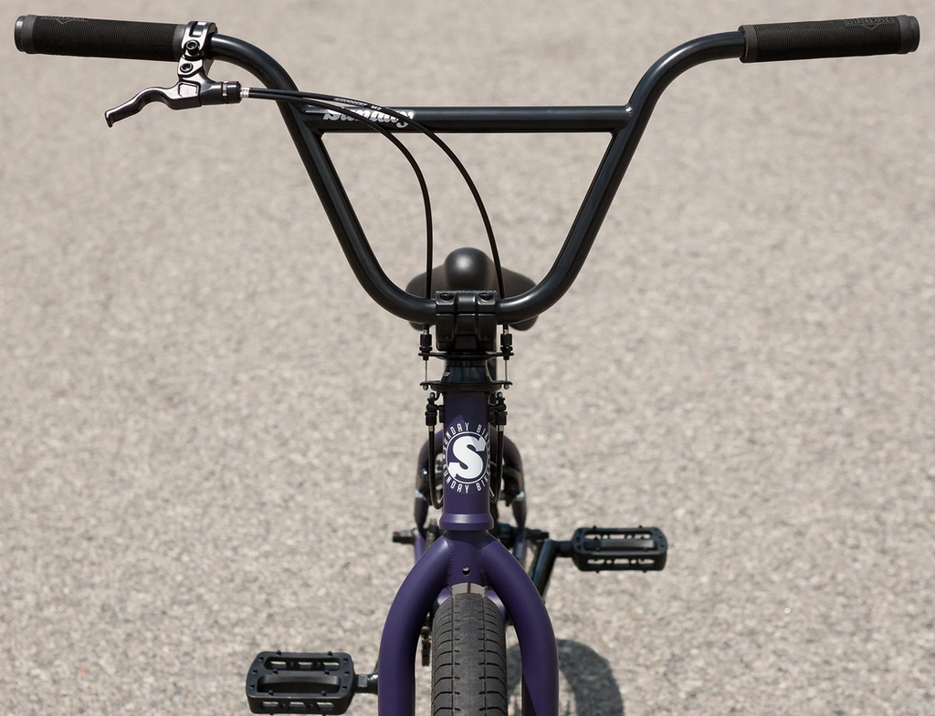 Sunday Forecaster Park Bike