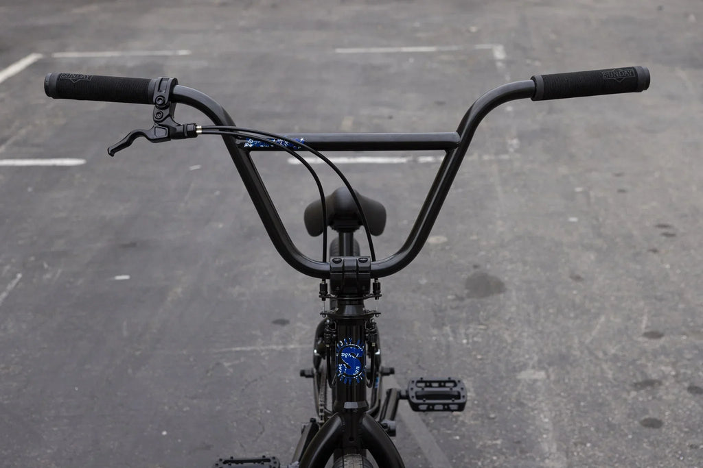 Sunday Forecaster Park Bike (Maca Perez Grasset Signature)