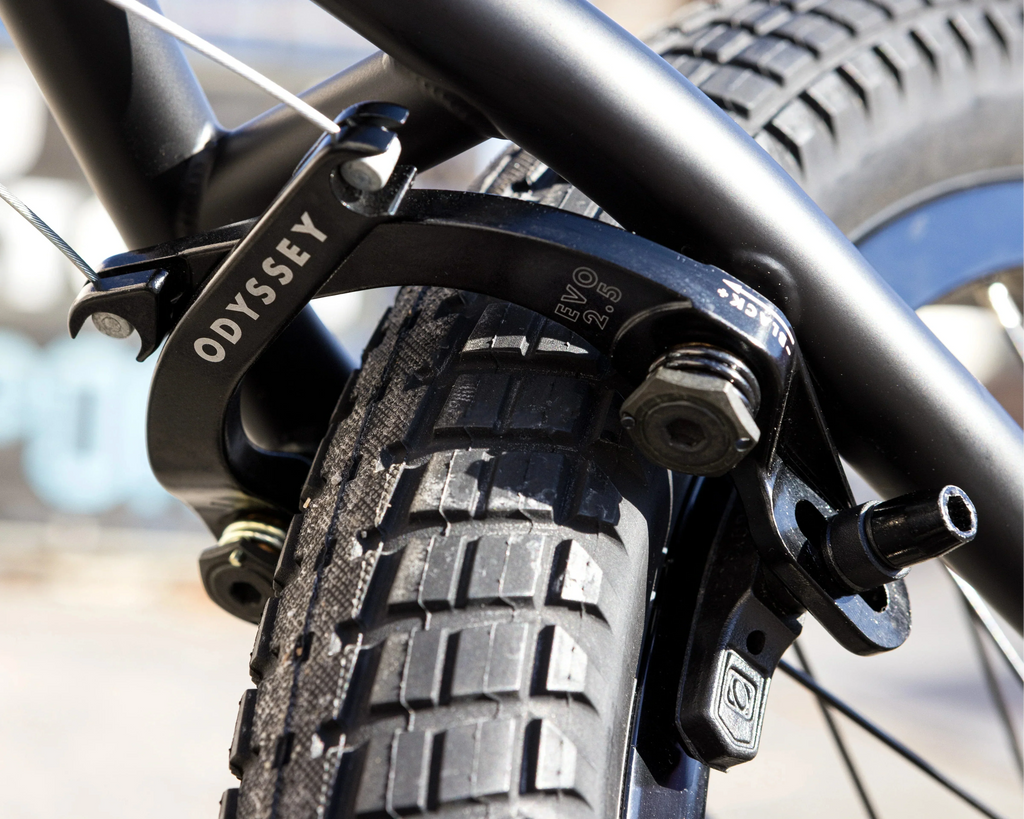 Sunday Wavelength Gary Young Signature Bike