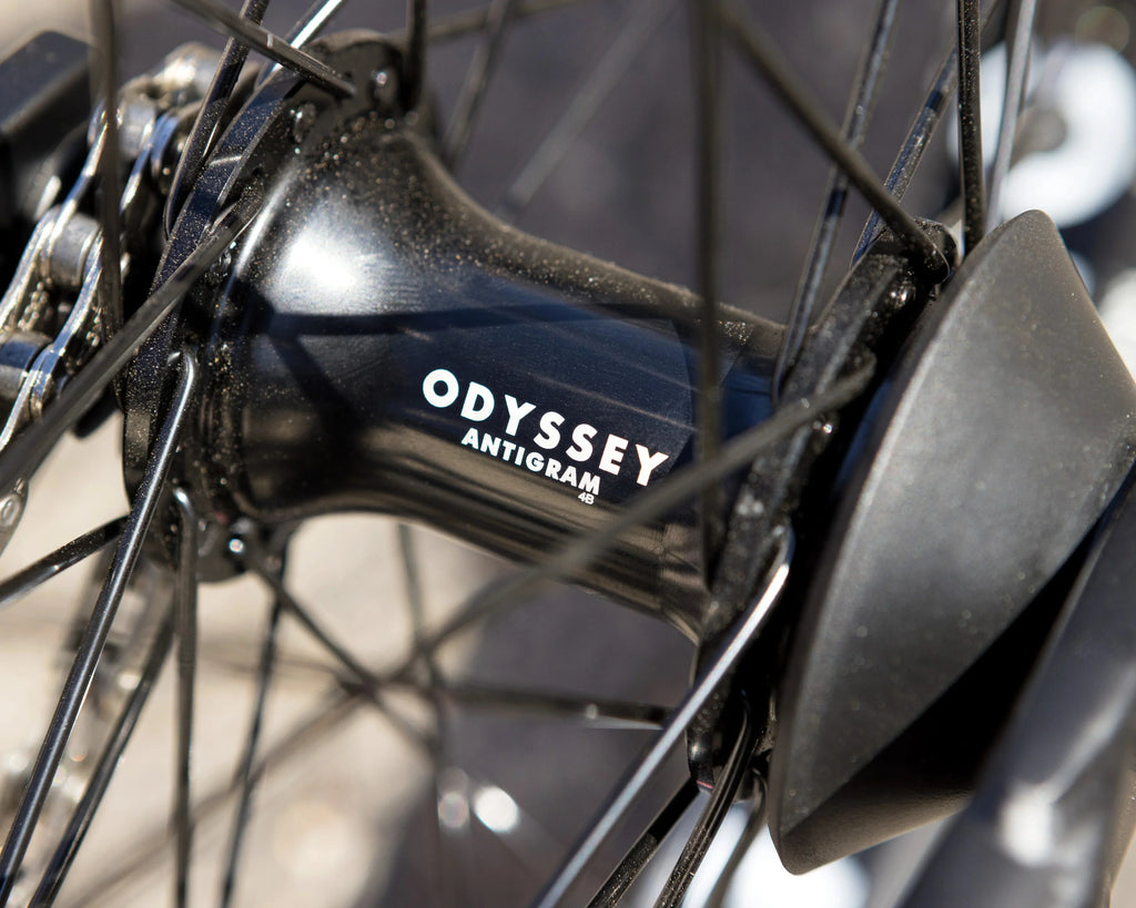 Sunday Wavelength Gary Young Signature Bike