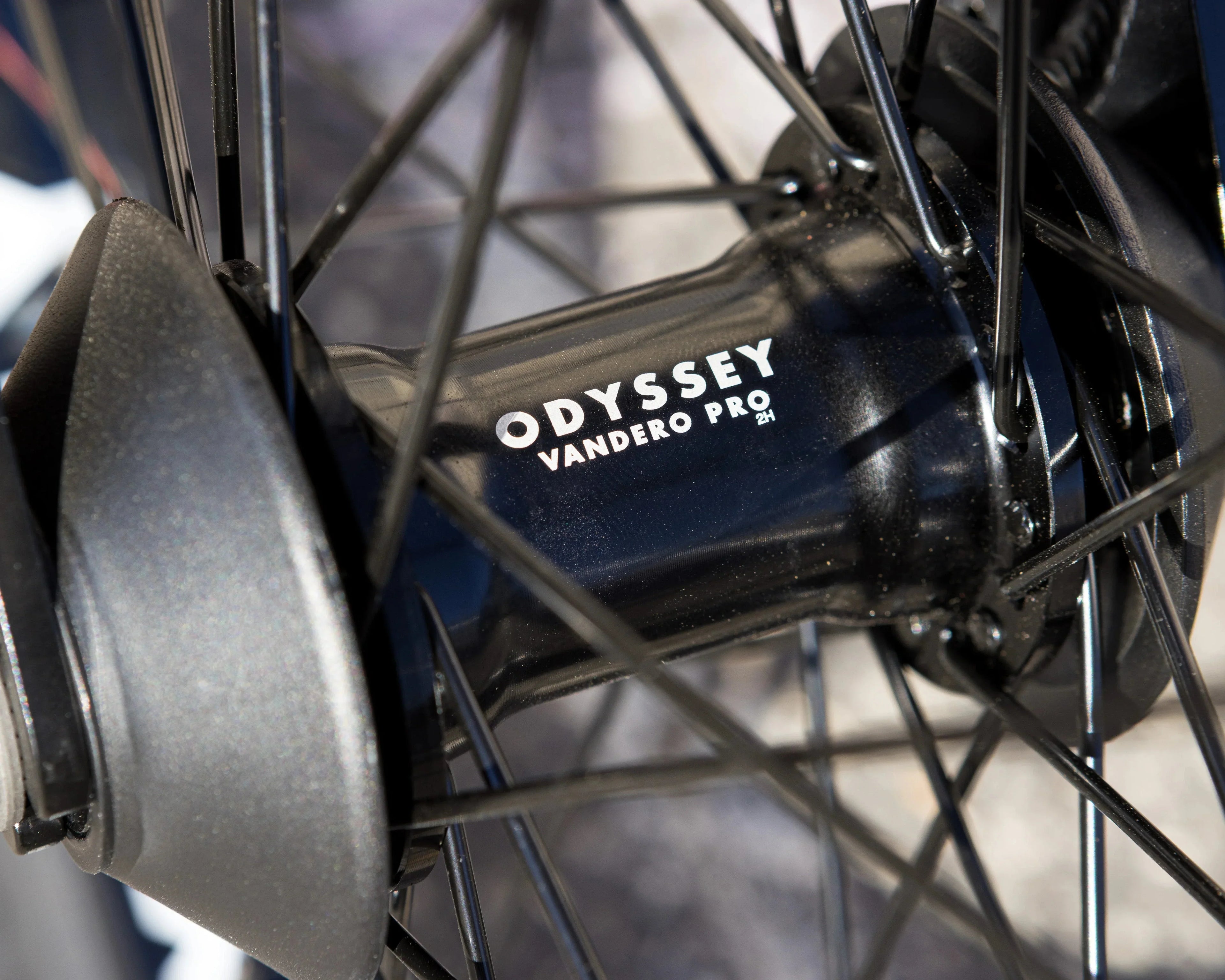 Sunday Wavelength Gary Young Signature Bike
