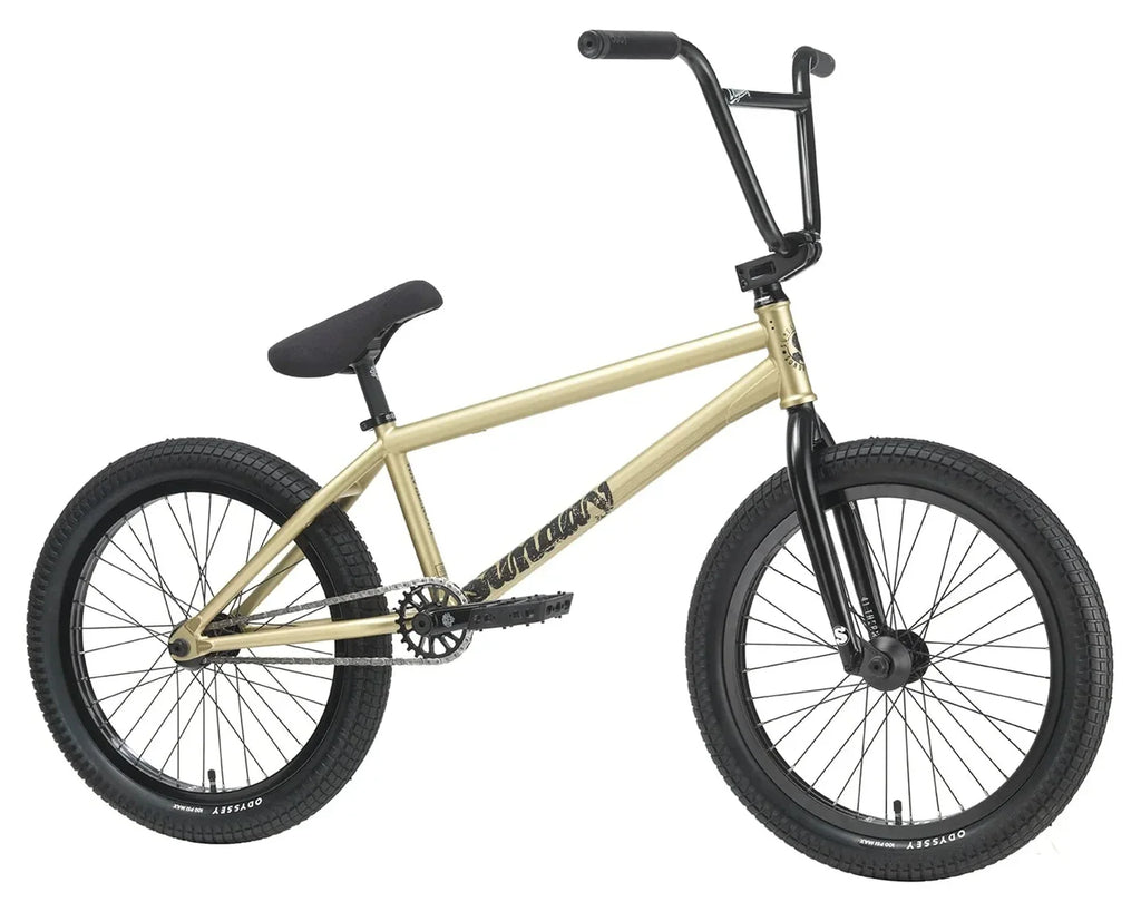 Sunday Wavelength Gary Young Signature Bike