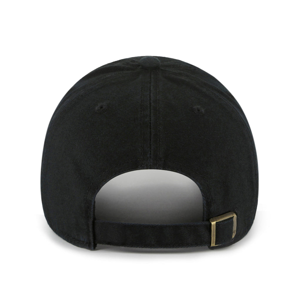 Philadelphia Eagles NFL 47 Brand Men's Black Mint Double Under Clean Up Adjustable Hat